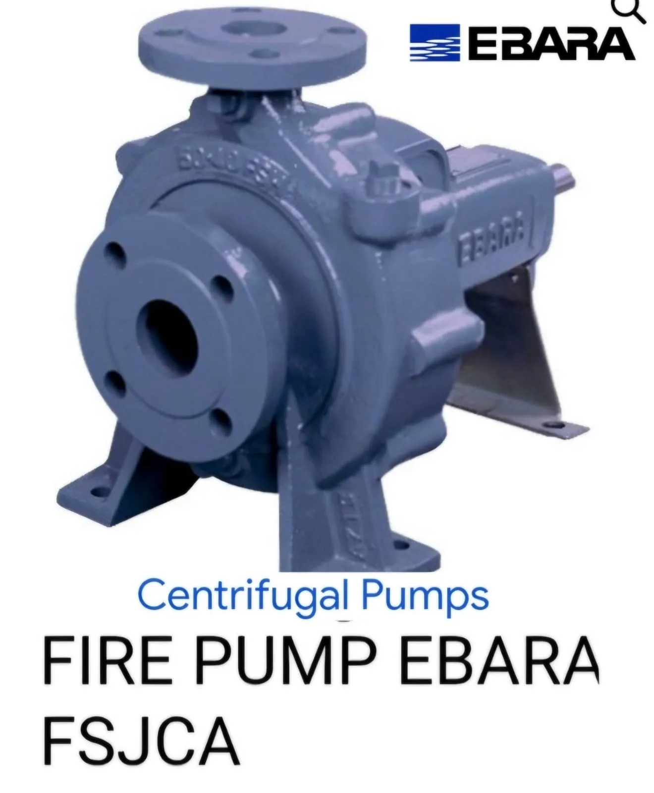 Fire Pump Ebara
